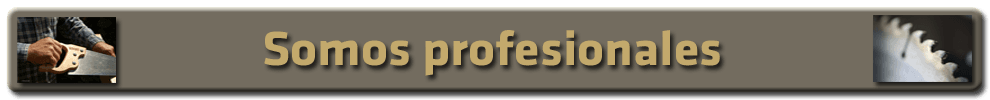 Somos profesionales